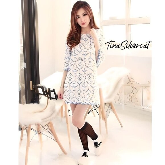 BLOGGER'S FAVE! Zara Boho Embroidered Mini Dress White/Blue Sz S NWT - Picture 4 of 10